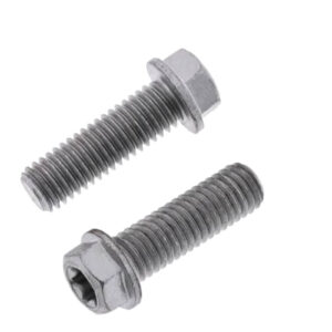 BOLT EURO 8x25mm FLANGE BOLT (Pkt of 10) - Image 2