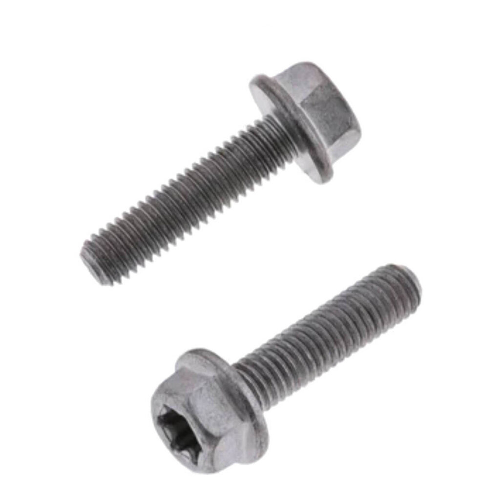 BOLT EURO 5X20mm FLANGE BOLT (Pkt of 10)