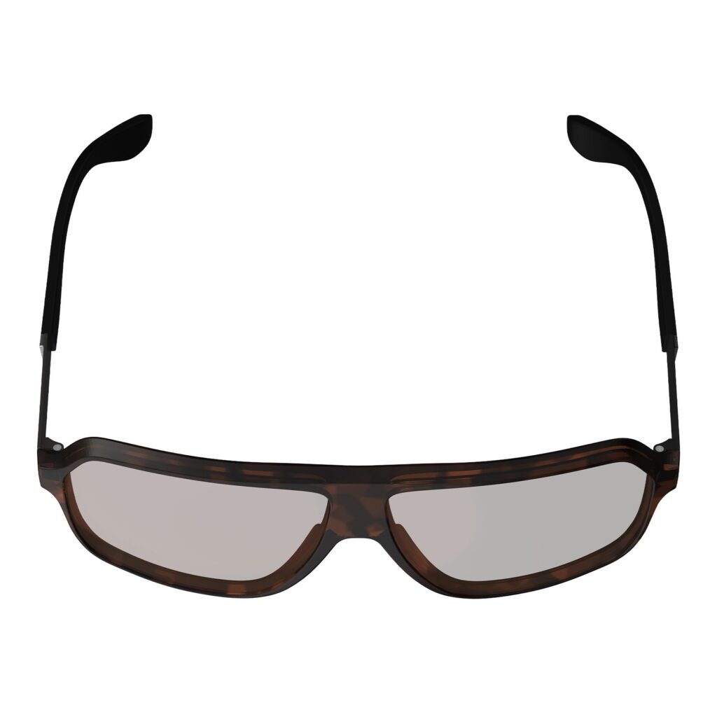 Leatt TheViz Andes Sunglasses - Brown Polarized Brown / Silver (2 VLT)