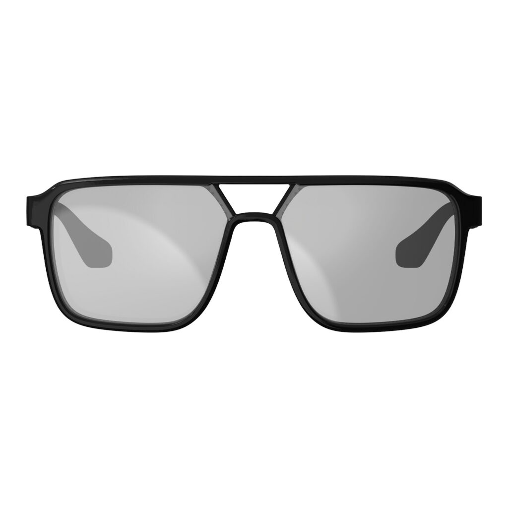 Leatt TheViz Pyrenees Sunglasses - Black Polarized Silver (17 VLT)