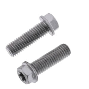 BOLT EURO 8x25mm FLANGE BOLT (Pkt of 10) - Image 1
