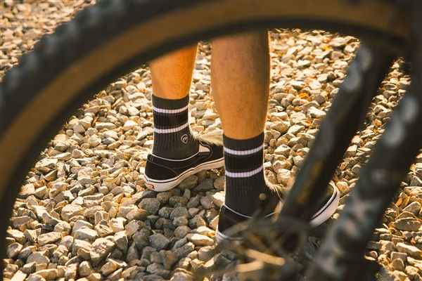 Fasthouse Venice Sock Forest Green