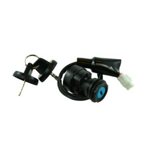 IGN KEY SWITCH ASSTD KAW RFR FITMENTS (RMS110-104616) - Image 2