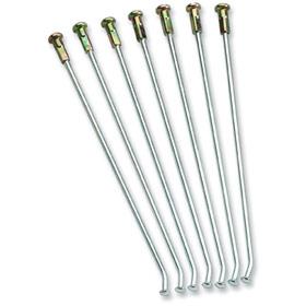 Spoke Set18 Stainless Pyschic