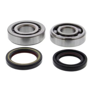 Main Bearing and Seal Kit - Image 2