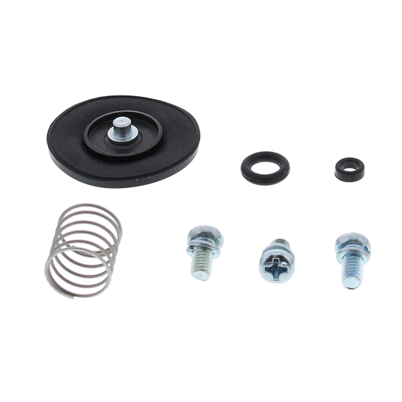 Accelerator Pump Rebuild Kit 46-3001 - Image 1