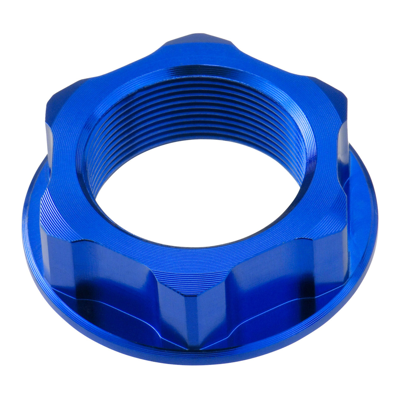 Zeta Stem Nut (M24x32 P1.0 H12) - Blue - Image 1