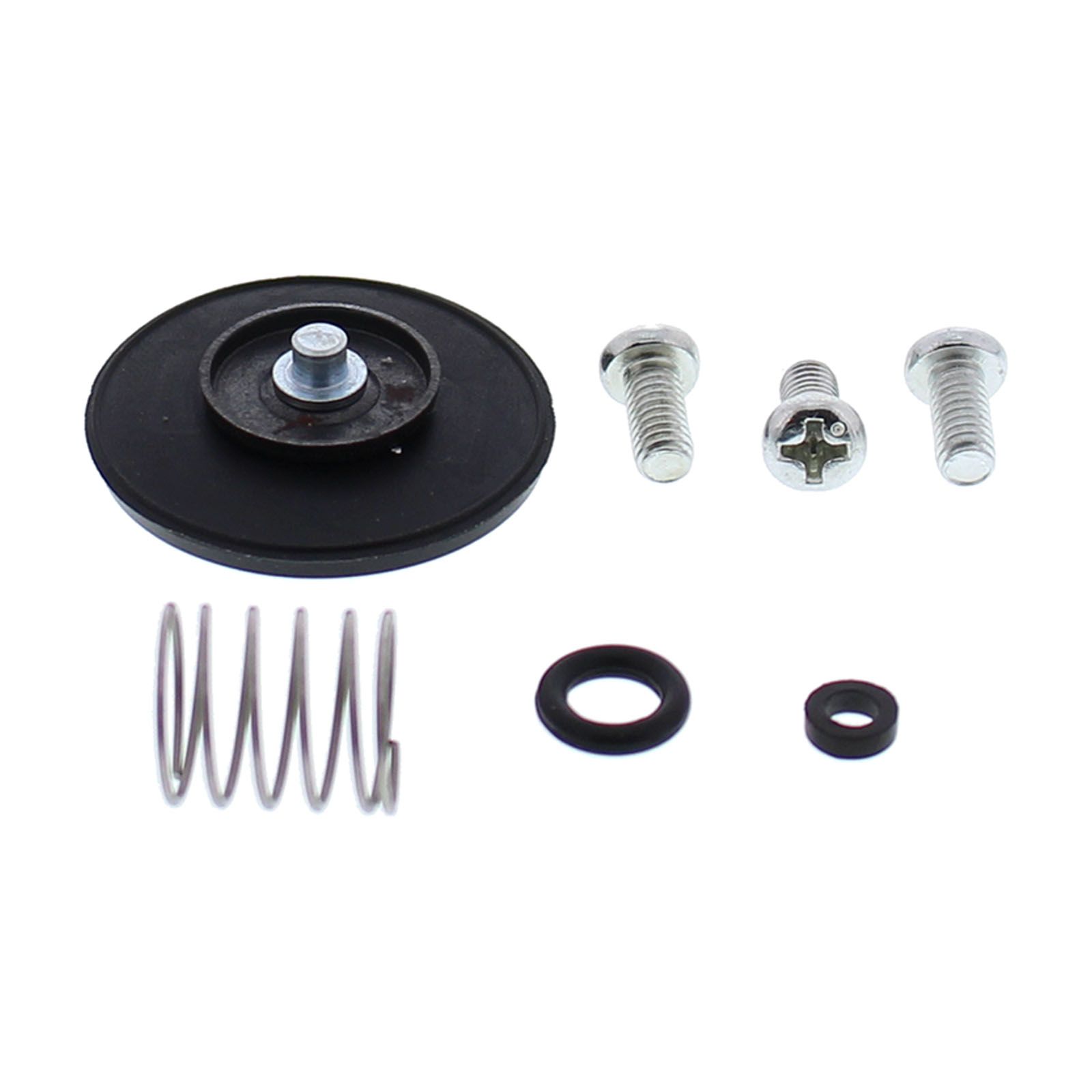 Accelerator Pump Rebuild Kit 46-3005 - Image 1