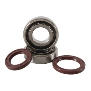 Main Bearing and Seal Kit - Image 1
