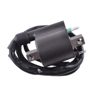 EXTERNAL IGNITION COIL ASSTD HON / KAW 2008-2020 (RM06162) - Image 1