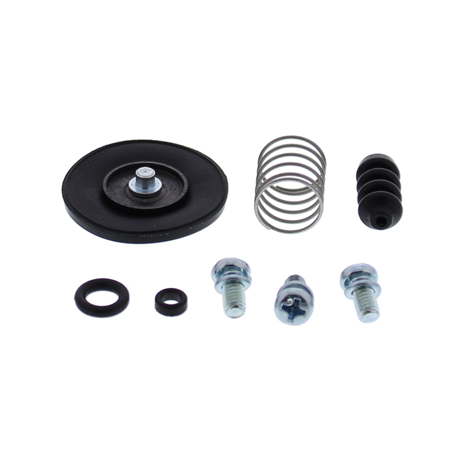 Accelerator Pump Rebuild Kit 46-3004 - Image 1