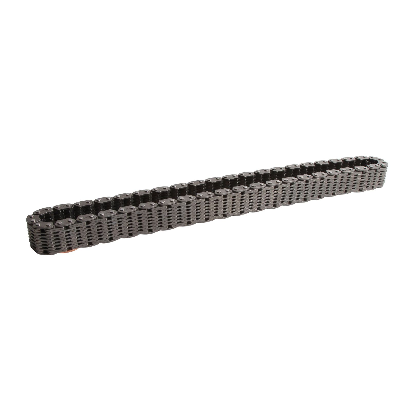 TRANSAXLE-TRANSMISSION REAR DRIVE CHAIN 25-8005 - Image 1