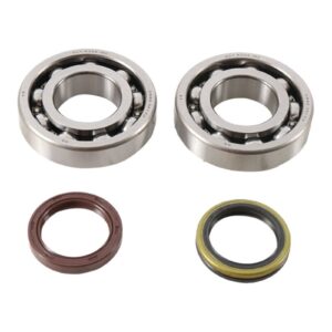 Main Bearing and Seal Kit - Image 2