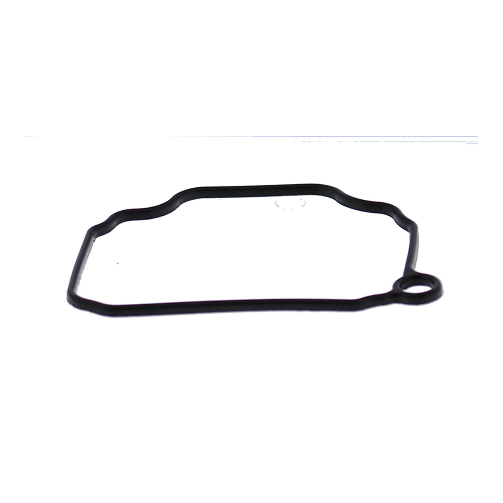 FLOAT BOWL GASKET ONLY KIT - Image 1