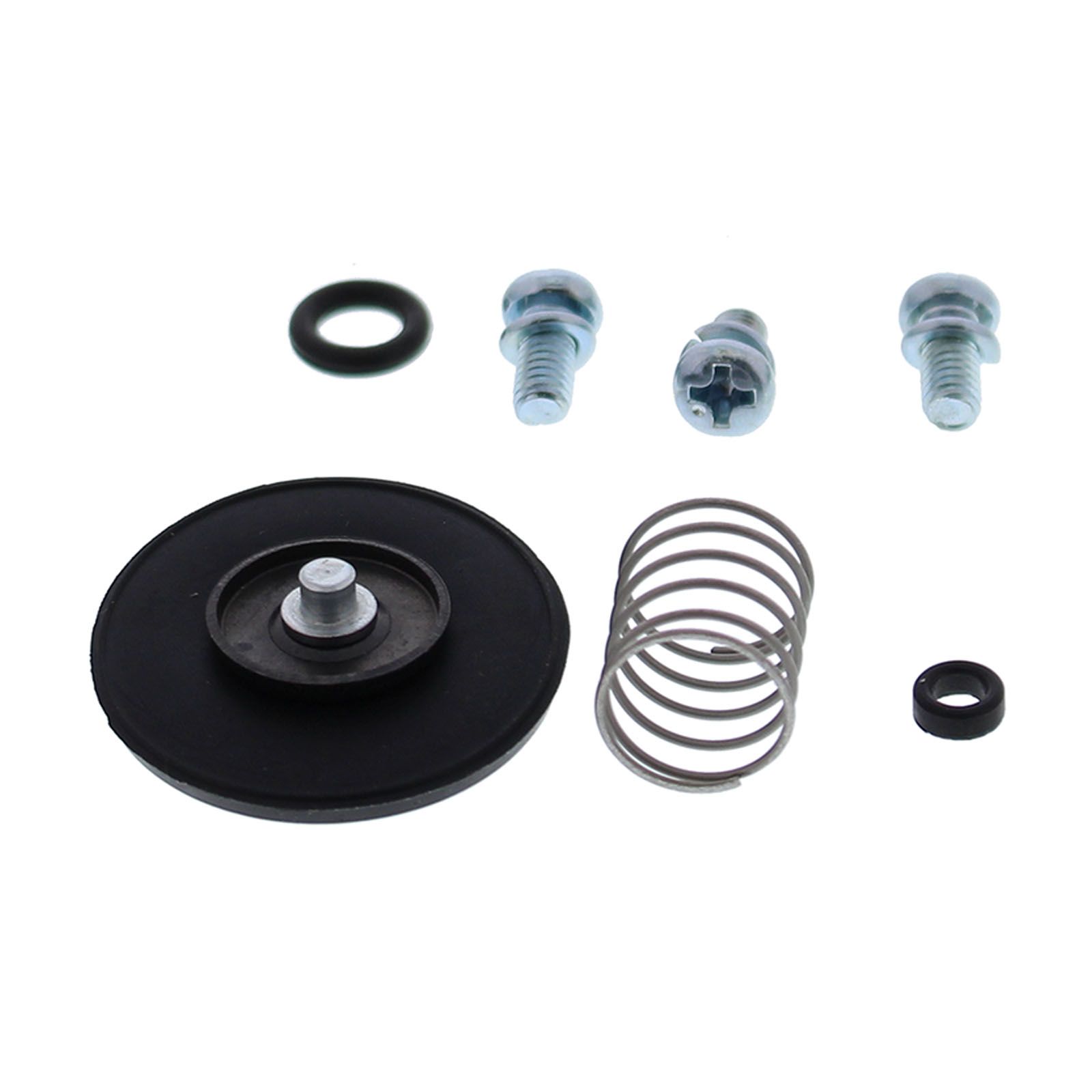 Accelerator Pump Rebuild Kit 46-3003 - Image 1