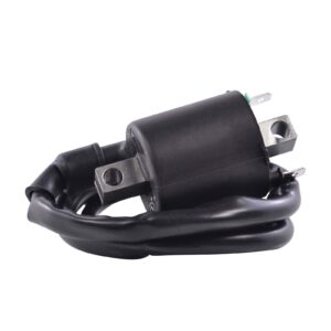 EXTERNAL IGNITION COIL ASSTD HON / KAW 2008-2020 (RM06162) - Image 2