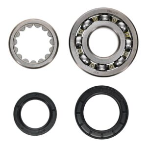 Main Bearing and Seal Kit - Image 3