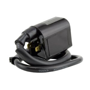 EXT IGN COIL ASSTD POL MODELS RFR FITMENTS (RMS060-104943) - Image 2