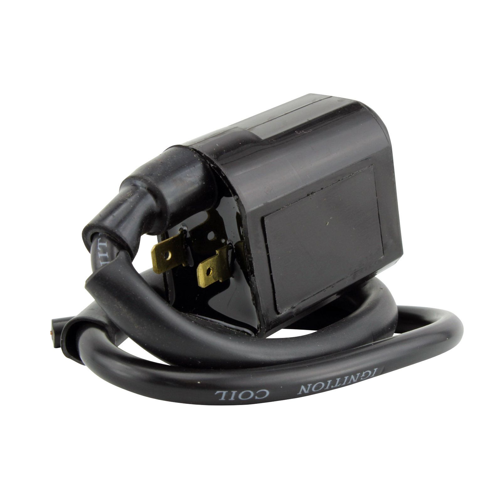EXT IGN COIL ASSTD POL MODELS RFR FITMENTS (RMS060-104943) - Image 2