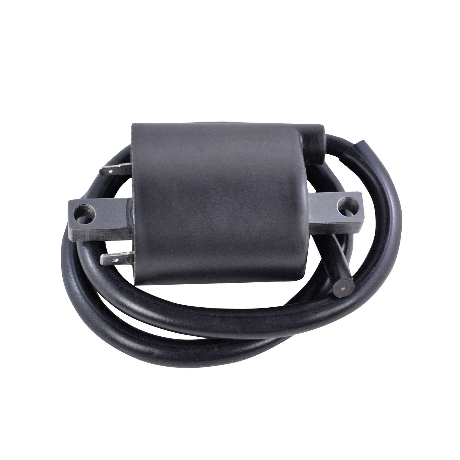 IGNITION COIL SUZ YAM ASSTD MODELS 1986-2017 (RM06168) - Image 1