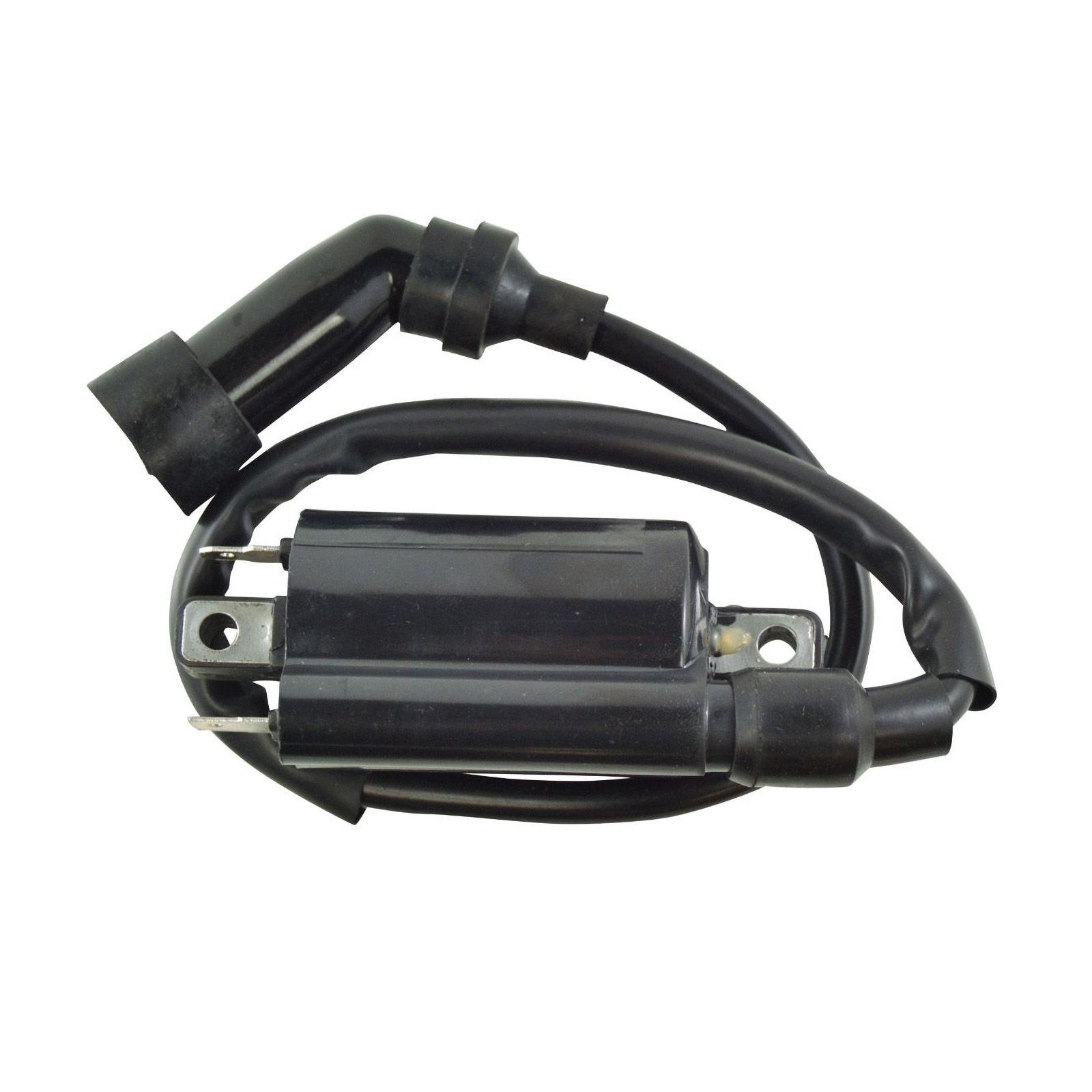 IGN COIL ASSTD YAM SUZ POL KAW HON MODELS RFR FITM (RM06008) - Image 1