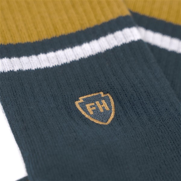 Fasthouse Venice Sock Navy/Gold