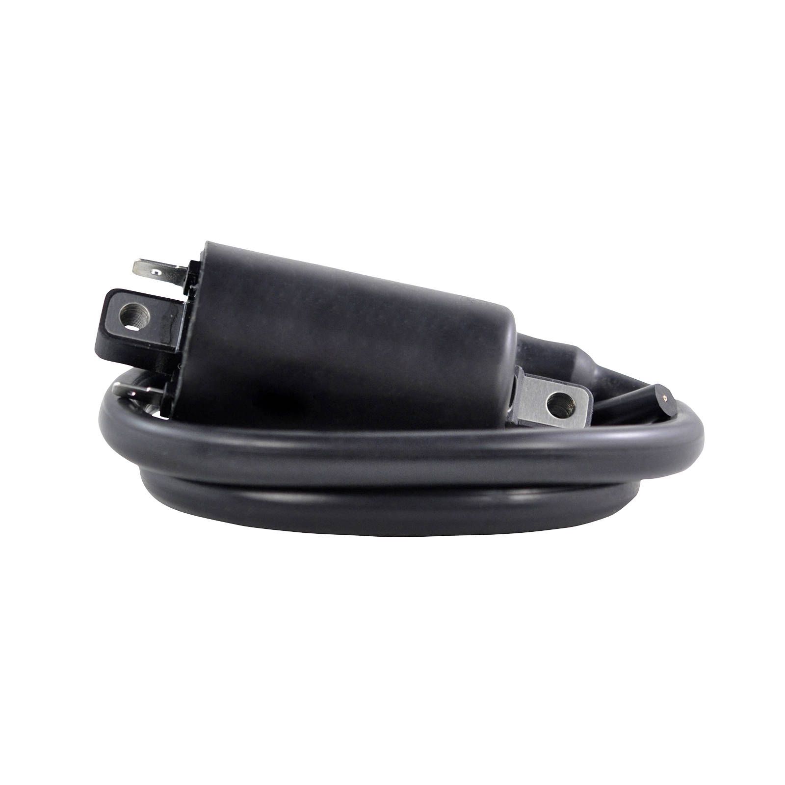 EXTERNAL IGNITION COIL ASSTD KAW / SUZ 2001-2020 (RM06176) - Image 2
