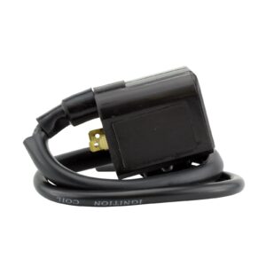EXT IGN COIL ASSTD POL MODELS RFR FITMENTS (RMS060-104943) - Image 1