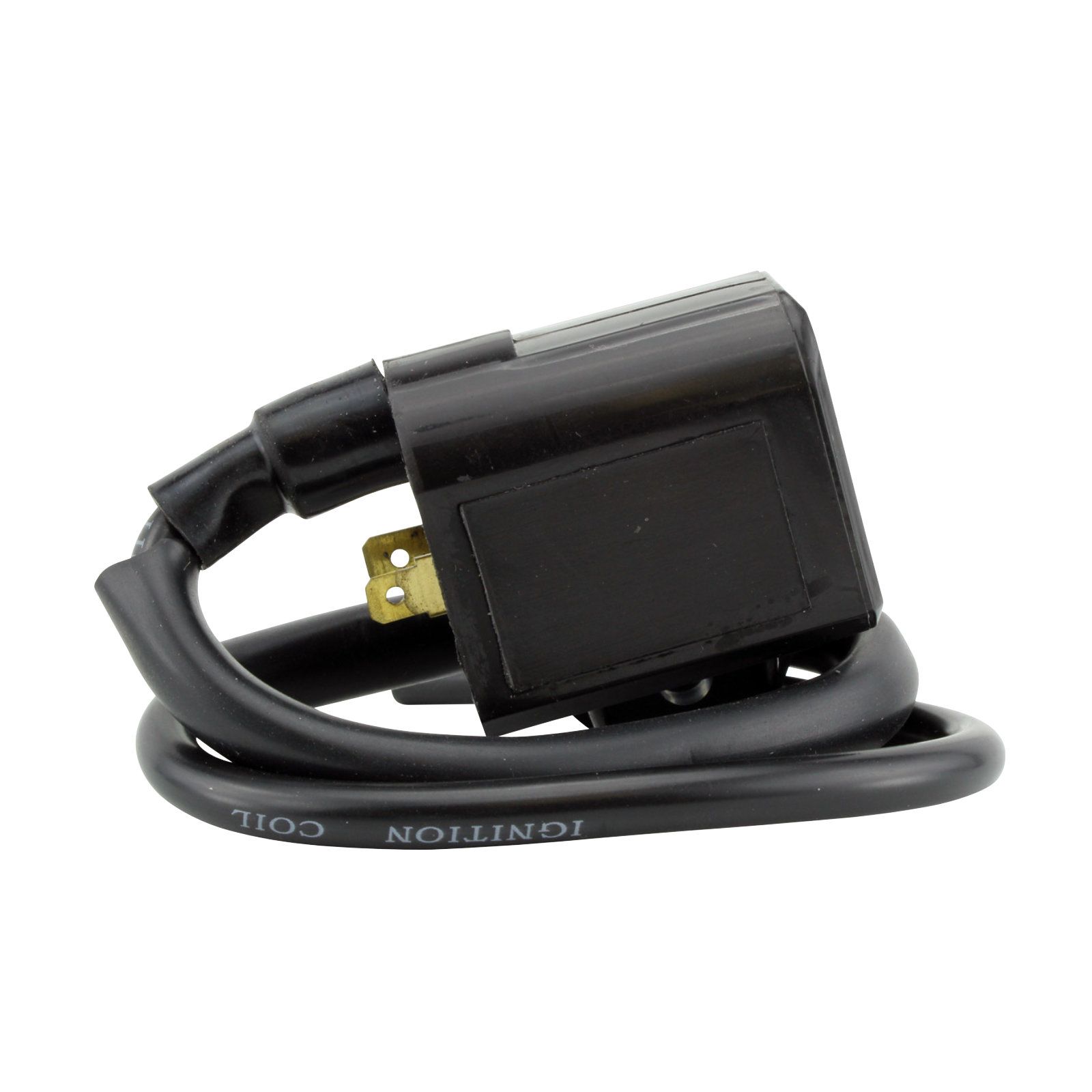EXT IGN COIL ASSTD POL MODELS RFR FITMENTS (RMS060-104943) - Image 1