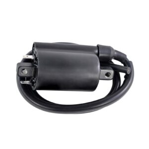 EXTERNAL IGNITION COIL ASSTD KAW / SUZ 2001-2020 (RM06176) - Image 1
