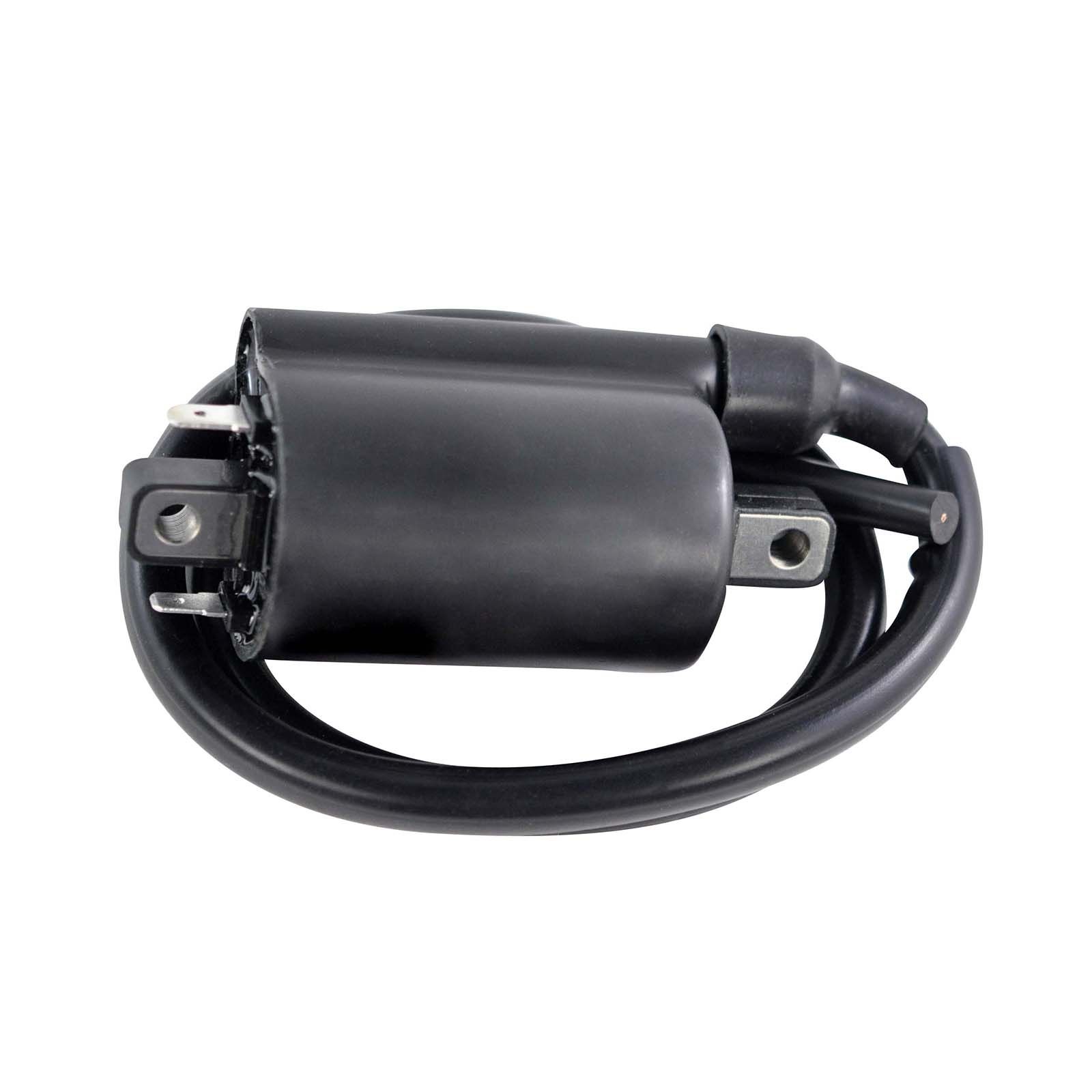 EXTERNAL IGNITION COIL ASSTD KAW / SUZ 2001-2020 (RM06176) - Image 1