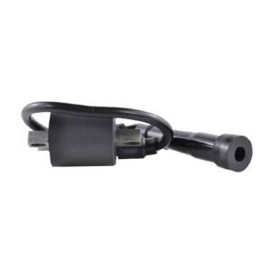 EXTERNAL IGNITION COIL & CAP ASSTD KAW / SUZ 83-14 (RM06019) - Image 2