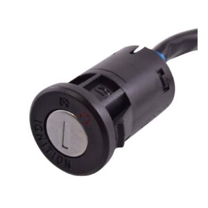 2-POS IGN KEY SWITCH ASSTD HON MODELS RFR FITMENTS (RM05013) - Image 5