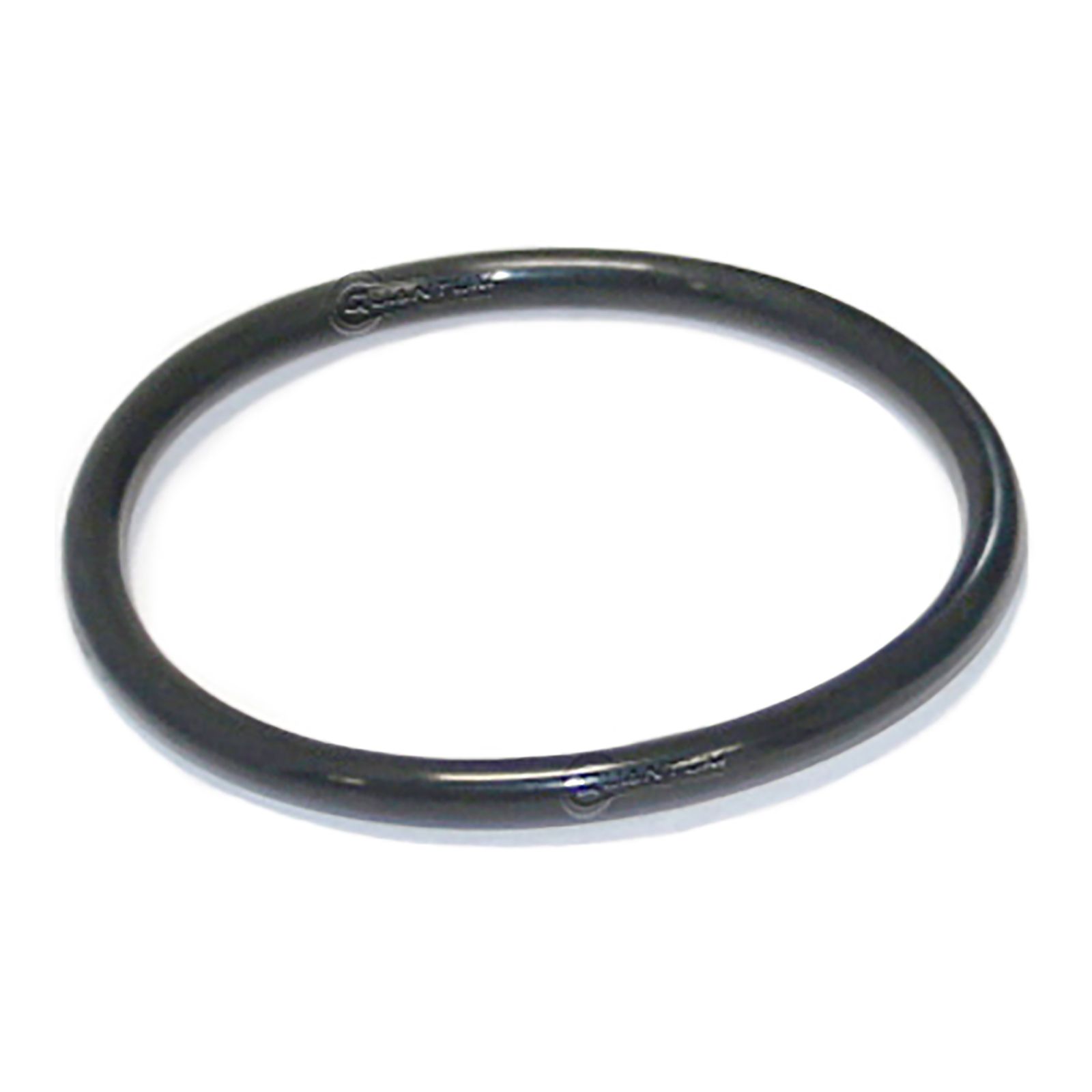 QUANTUM FUEL PUMP TANK SEAL GASKET - Image 1