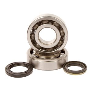 Main Bearing and Seal Kit - Image 1