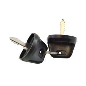 2-POS IGN KEY SWITCH ASSTD HON MODELS RFR FITMENTS (RM05011) - Image 2