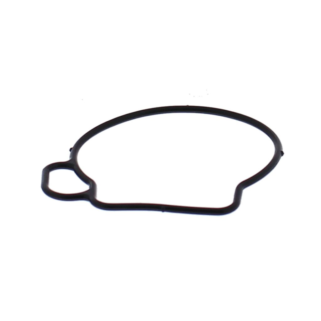 FLOAT BOWL GASKET ONLY KIT