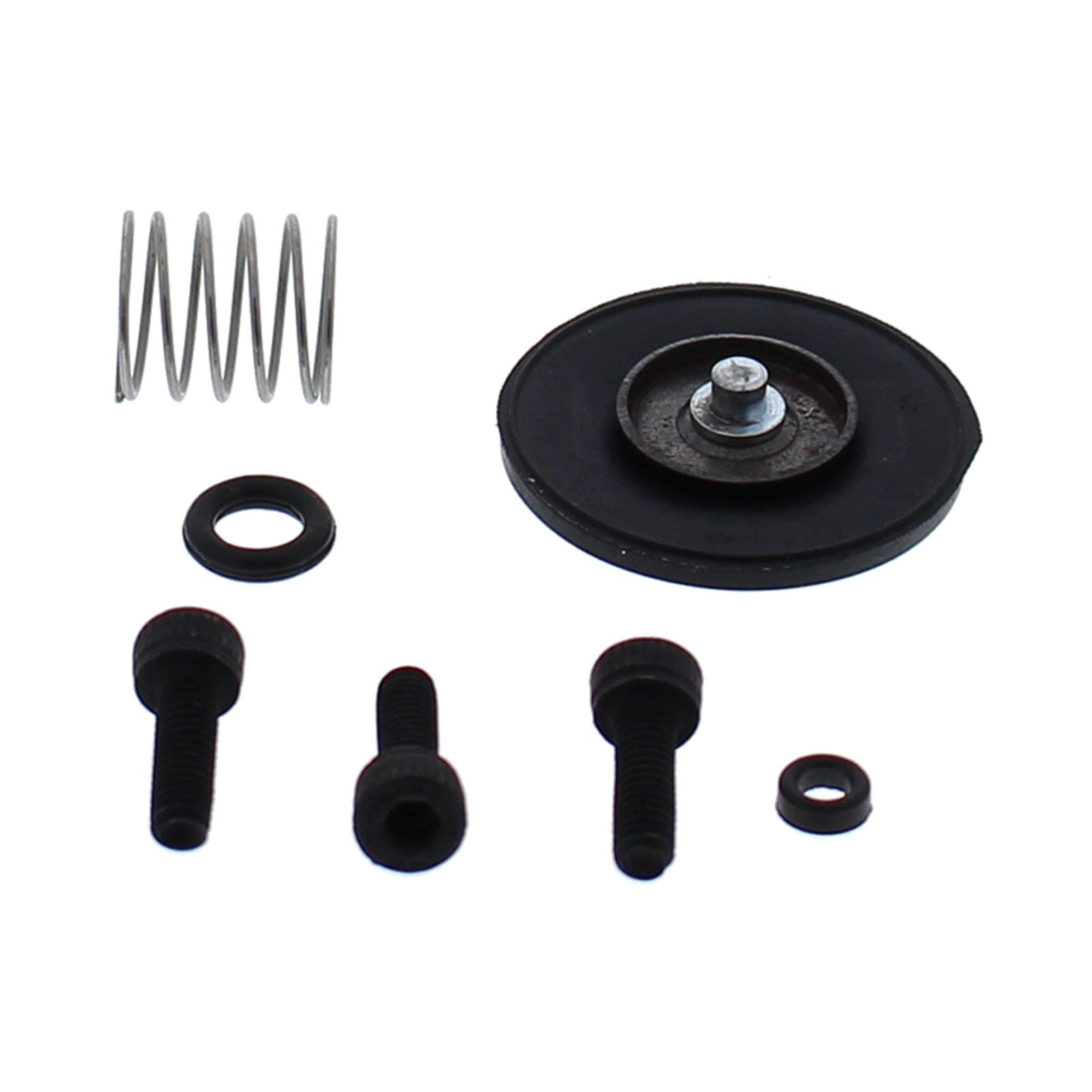 ACCELERATOR PUMP REBUILD KIT 46-3008 - Image 1