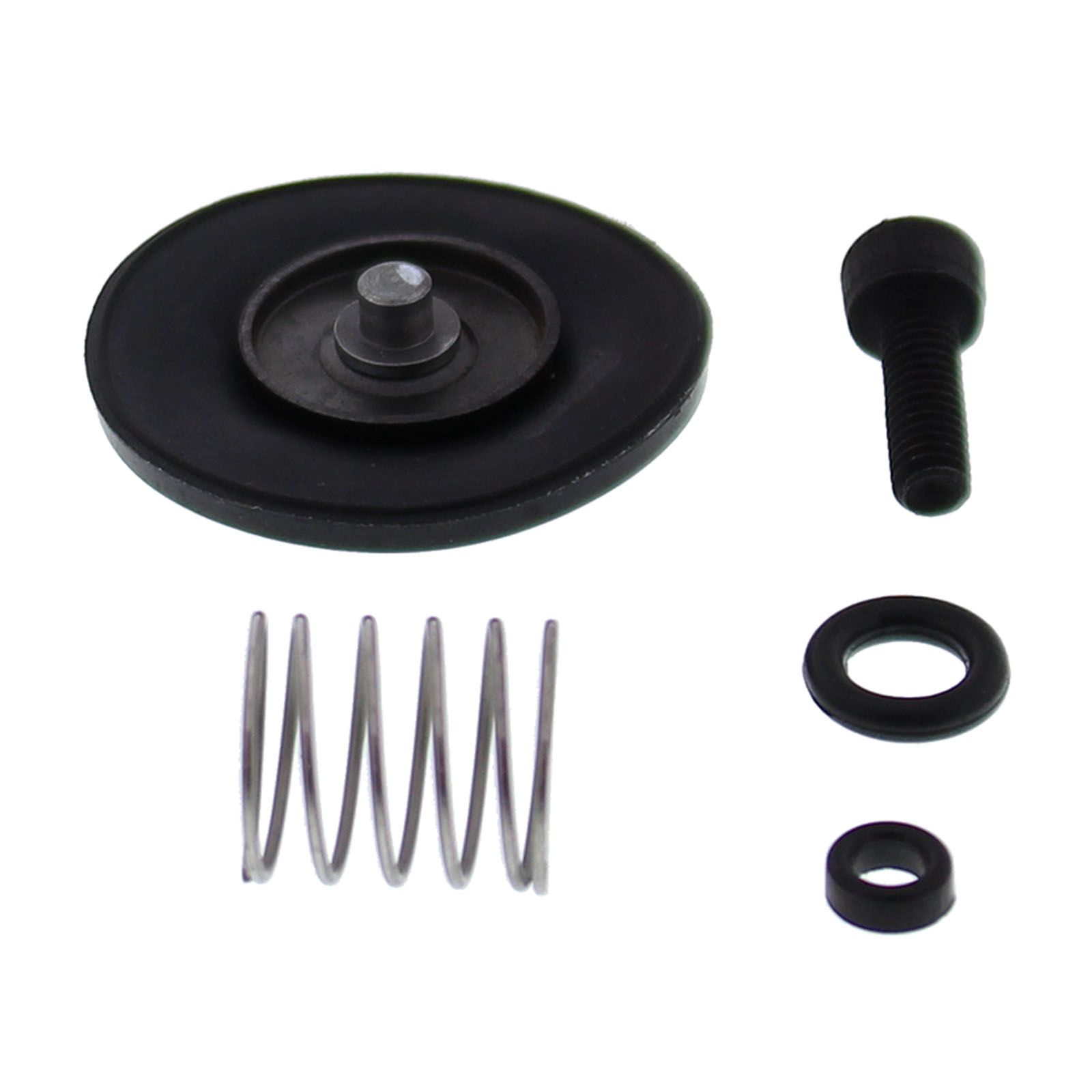 Accelerator Pump Rebuild Kit 46-3006 - Image 1