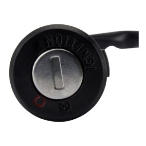 2-POS IGN KEY SWITCH ASSTD CAN-AM RFR FITMEN (RMS110-107742) - Image 8