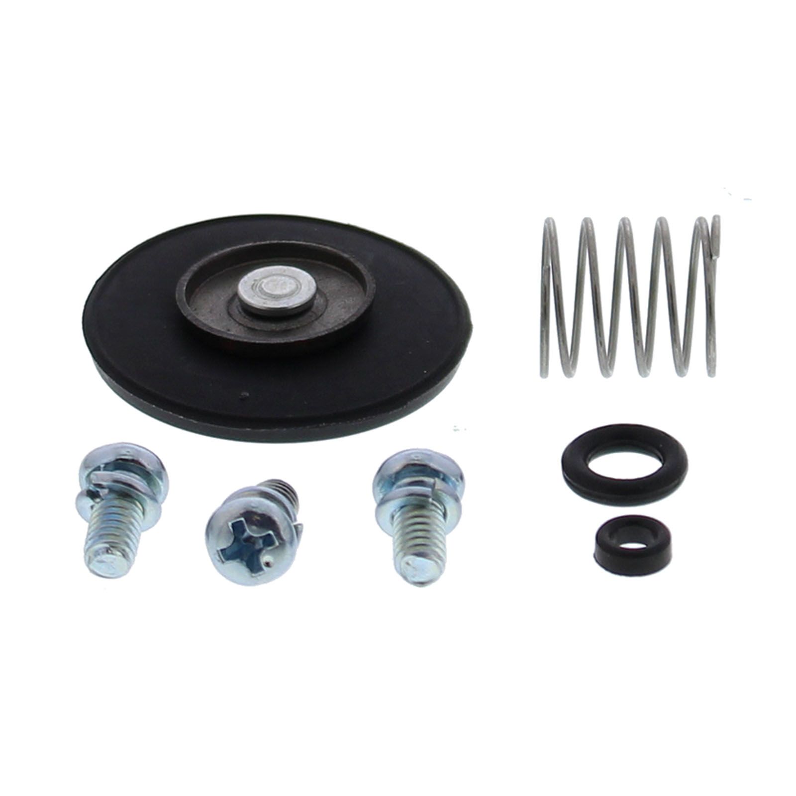 ACCELERATOR PUMP REBUILD KIT 46-3002 - Image 1
