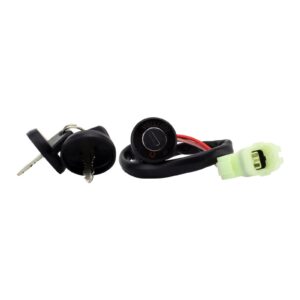 2-POS IGN KEY SWITCH ASSTD CAN-AM RFR FITMEN (RMS110-107742) - Image 1
