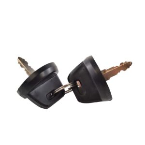 2-POS IGN KEY SWITCH ASSTD YAM MODELS RFR FITMENTS (RM05001) - Image 2