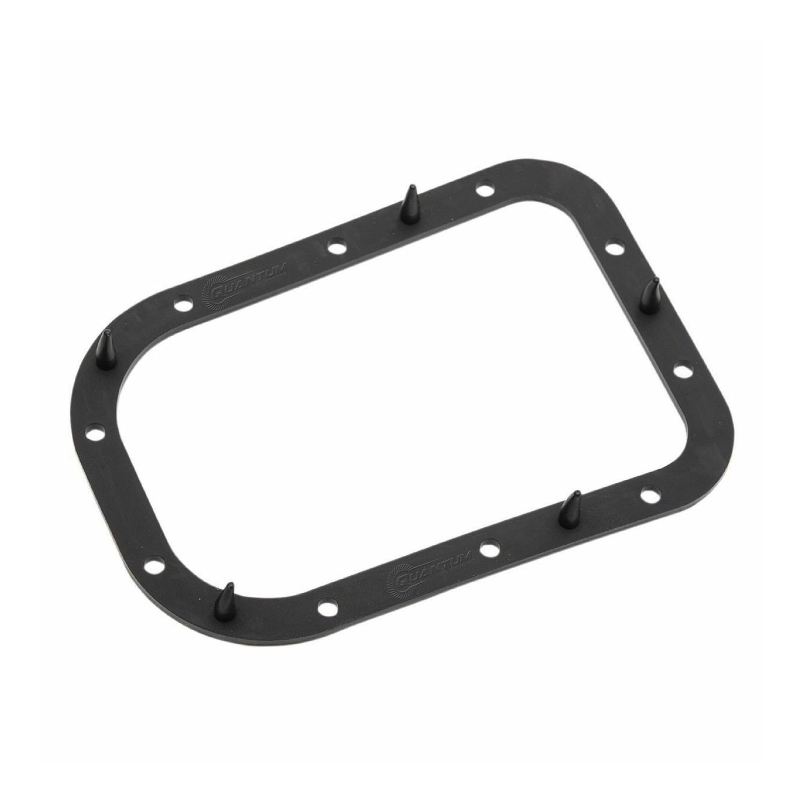 QUANTUM FUEL PUMP TANK SEAL GASKET - Image 1