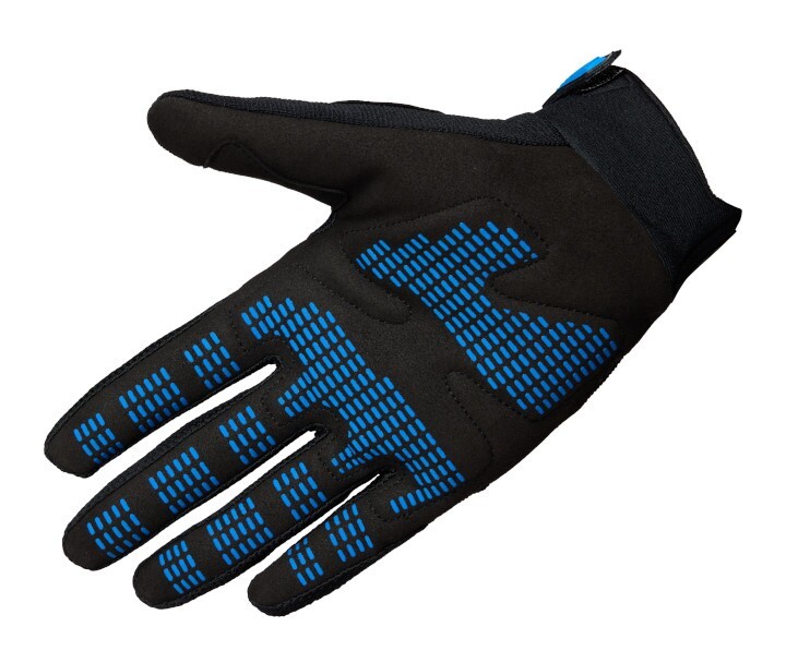 Fox Dirtpaw Drive Motocross Gloves Black/Blue - Image 2