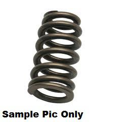 *INLET VALVE SPRING PSYCHIC  KX250F 07-08 - Image 1