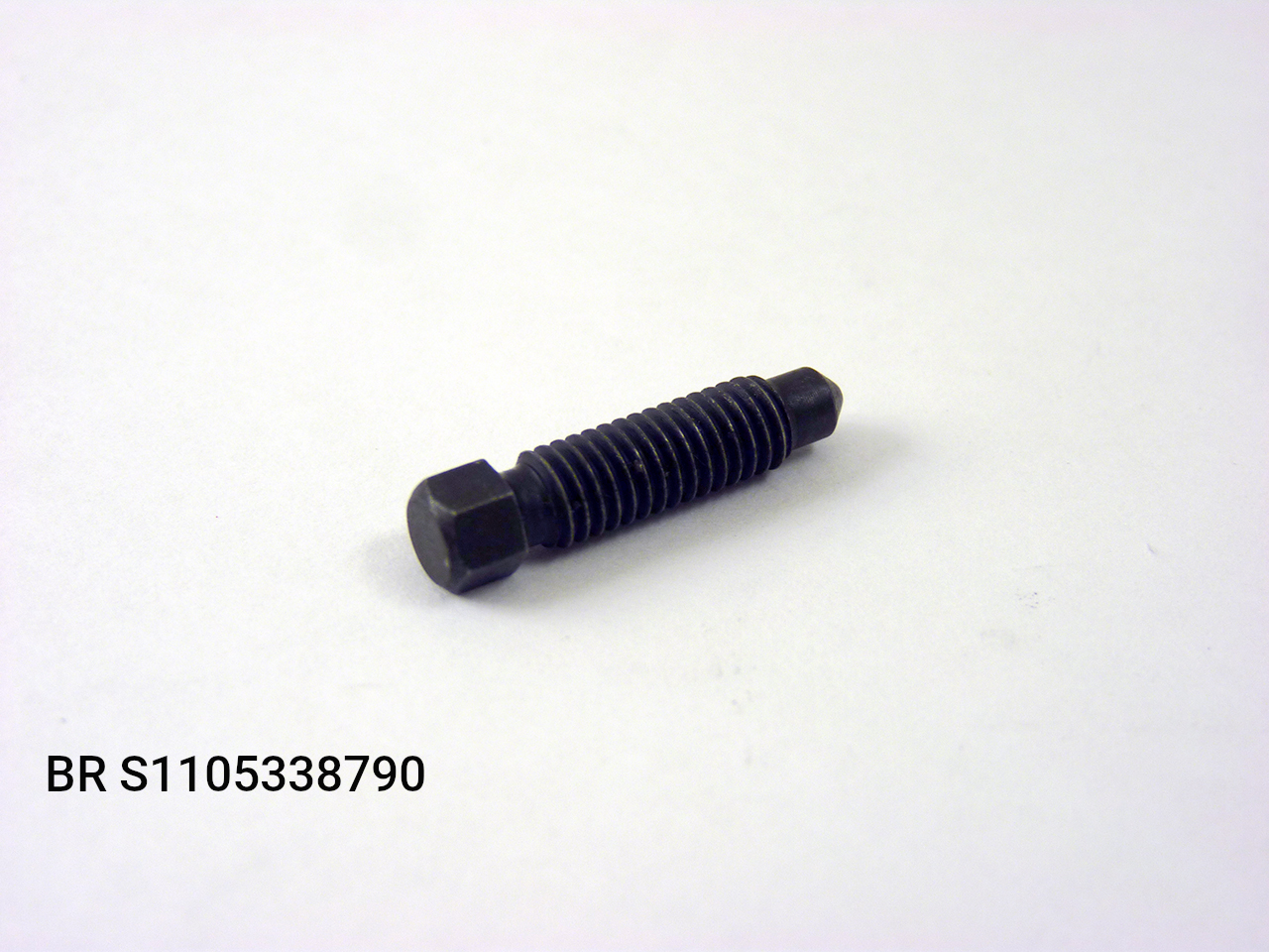BLEED SCREW FOR OE RADIAL MASTER CYLINDER - Image 1