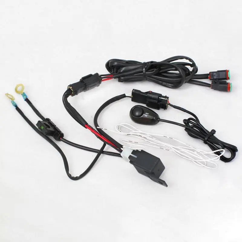 DENALI : SINGLE INTENSITY 2-LIGHT HARNESS W/LIGHTED SWITCH