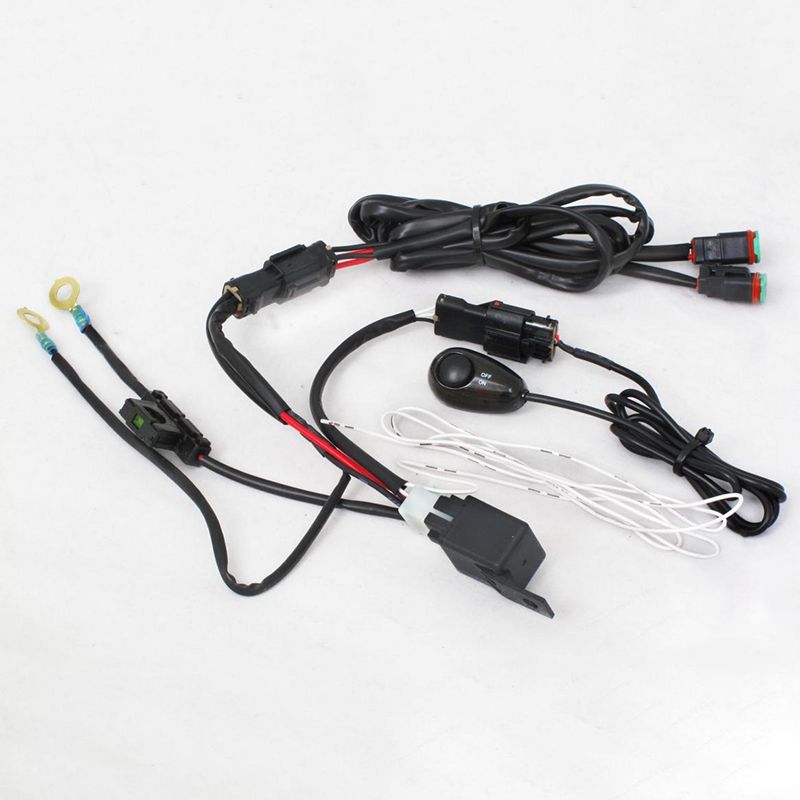DENALI : SINGLE INTENSITY 2-LIGHT HARNESS W/LIGHTED SWITCH - Image 1