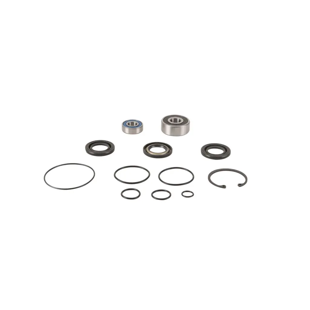 JET PUMP REBUILD KT 14-3011